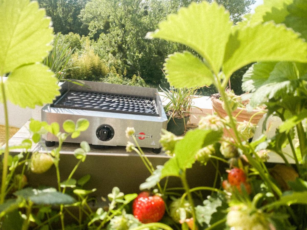 L'Olympique: Appartement Cosy, Vue Canal Grande Terrasse Et Parking Vaires-sur-Marne Kültér fotó